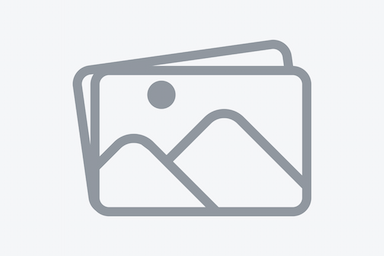 Dodge Ram 1500 2010 - Thumbnail 1