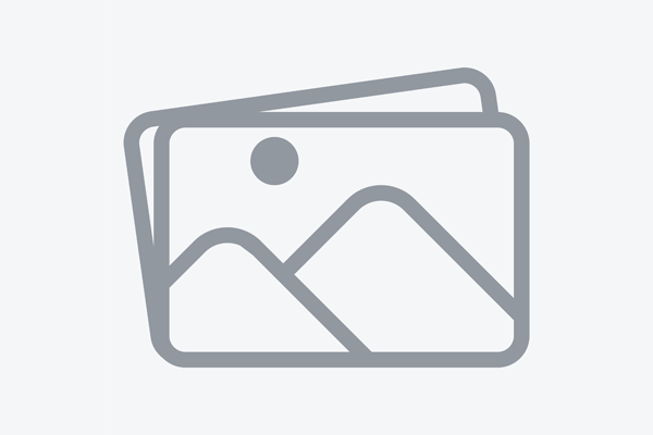 Dodge Ram 1500 2010 - Image 1