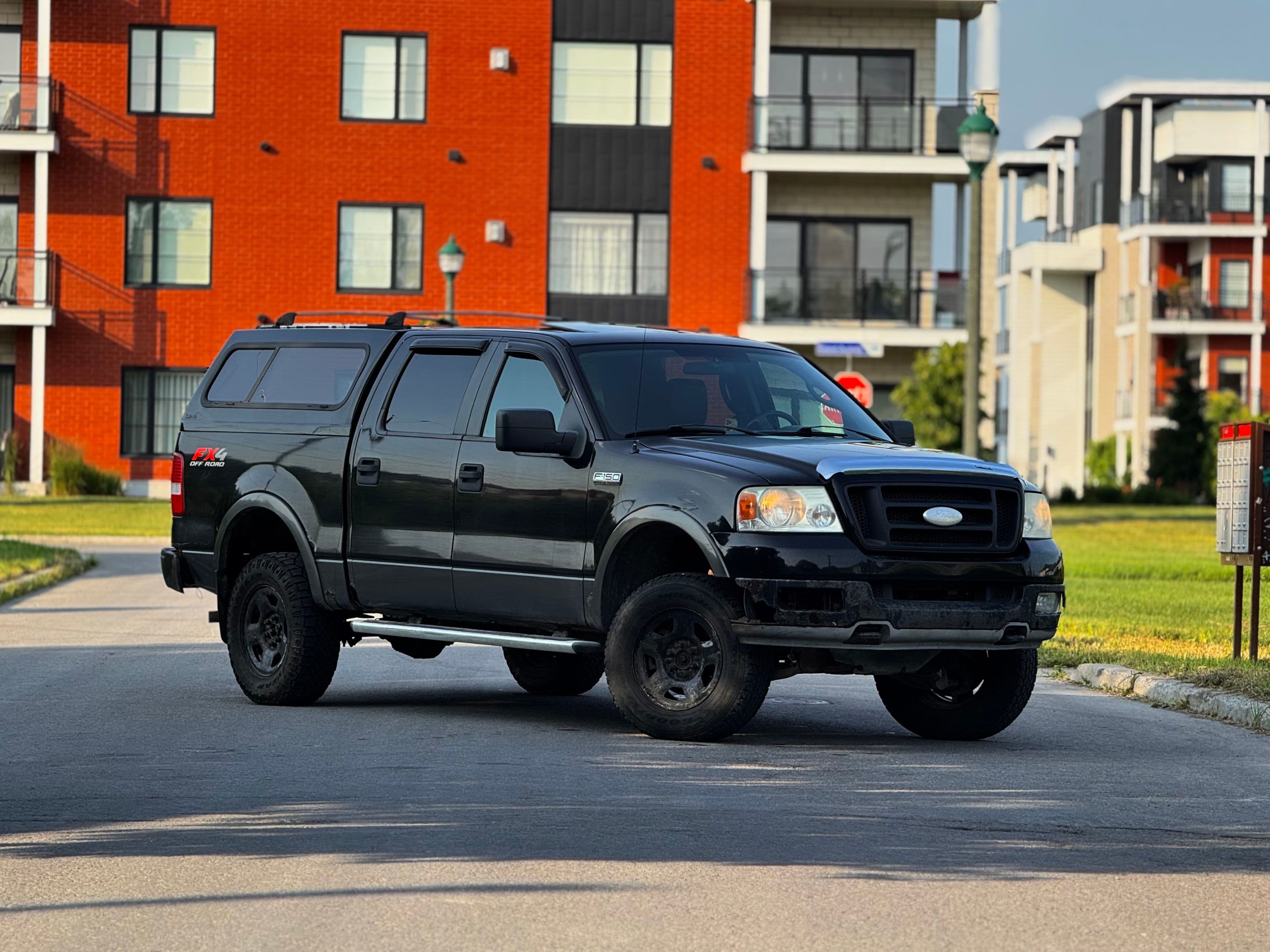 Ford F-150 2005 - Image 4